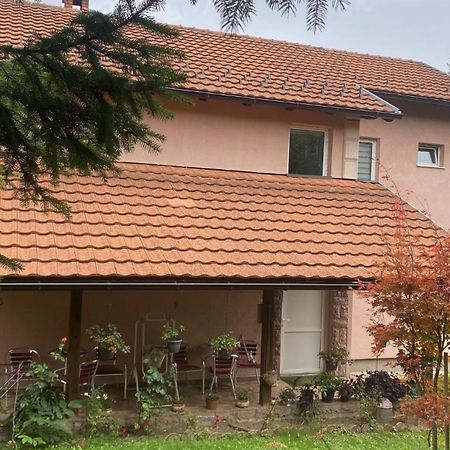 Apartmani Nais זלאטיבור מראה חיצוני תמונה