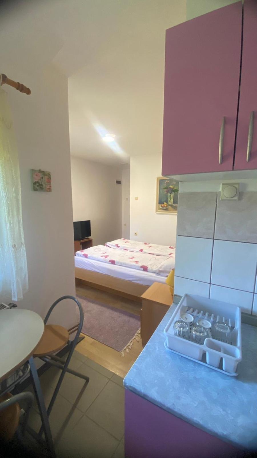 Apartmani Nais זלאטיבור מראה חיצוני תמונה